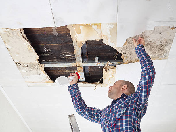 Best Crawl Space Mold Remediation  in Crouch Mesa, NM